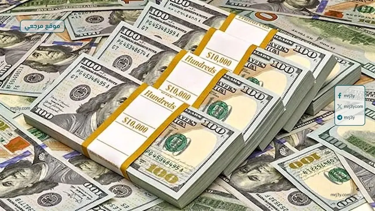 سعر الدولار يشهد استقرارًا أمام الجنيه المصري في البنوك اليوم